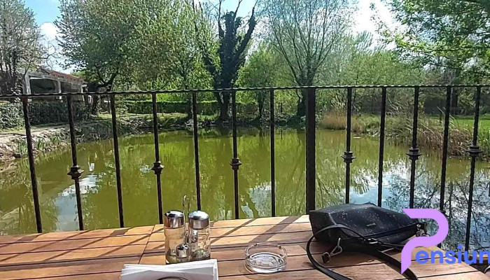 Pensiunea Lunca Arad -    Pensiune Restaurant Terasa Videoclipuri - Padurea Ceala Zori De Zi Zona 3 Insule