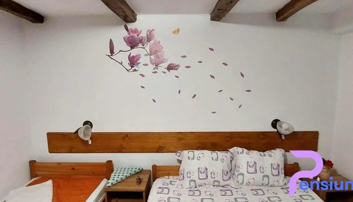 Pensiunea Magnolia Din Tismana -  Camere - Tismana