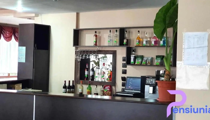 Pensiunea Maicanesti Atmosfera - Măicănesti