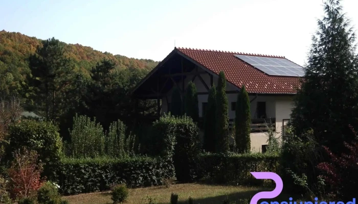 Pensiunea Margareta -  Exterior - Budeasa Mică