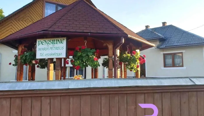 Pensiunea "Maria Petreus" - Poienile Izei