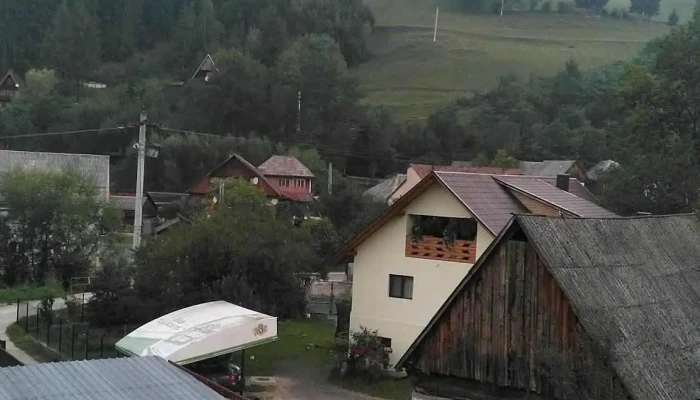 Pensiunea Meri -  Exterior - Albac