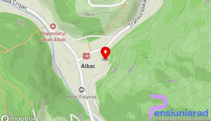 hartă a Pensiunea Meri Pensiune în Albac