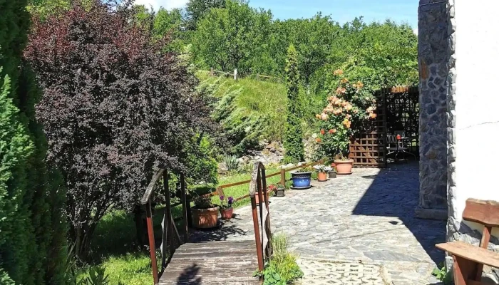 Pensiunea Mirela -  Exterior - Ghelari