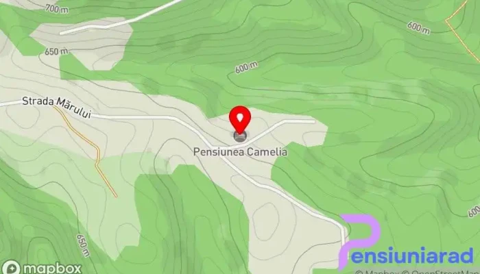 hartă a Pensiunea Mirela Bed & Breakfast, Cabană în Ghelari