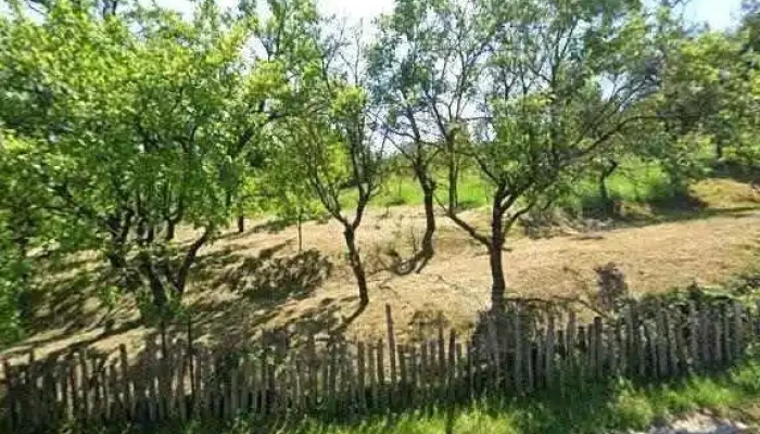 Pensiunea Mirela -  Street View Si 360deg - Ghelari