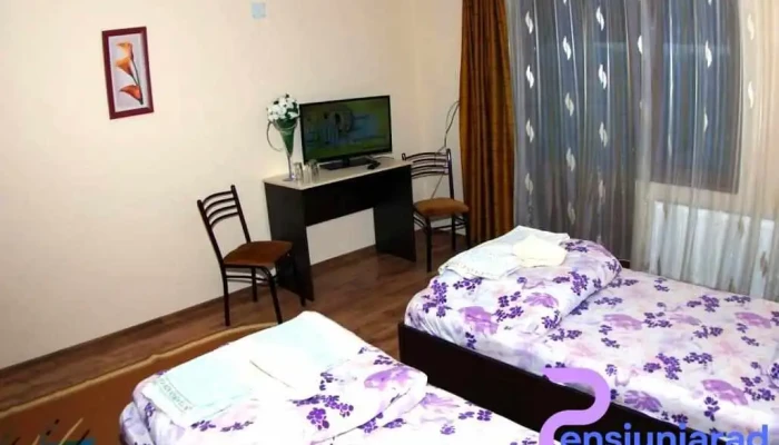 Pensiunea Muntele Gaina -  Camere - Hălmagiu