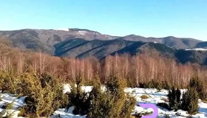 Pensiunea Muntele Gaina -  De La Vizitatori - Hălmagiu