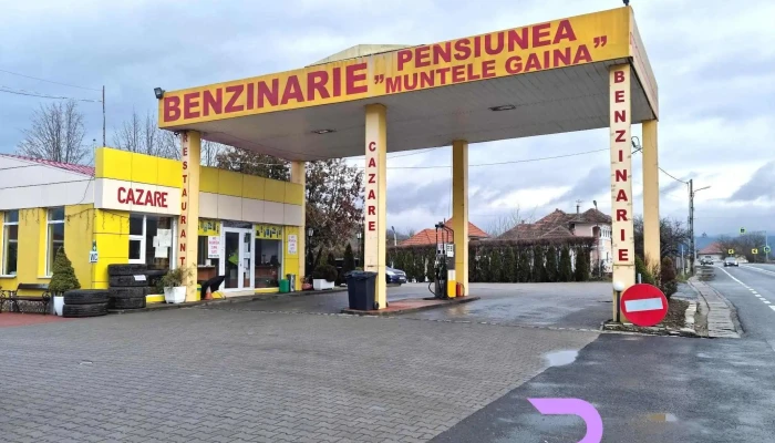 Pensiunea Muntele Gaina -  Exterior - Hălmagiu