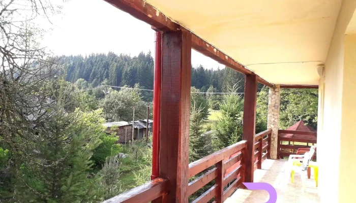 Pensiunea Nadine -  Exterior - Agapia