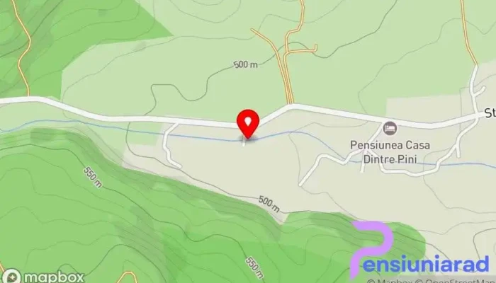 hartă a Pensiunea Nadine Bed & Breakfast în Agapia