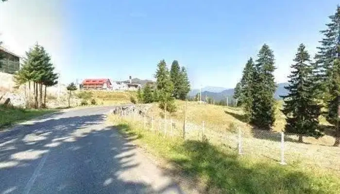 Pensiunea Nedeea -  Street View Si 360deg - Dâmbovicioara