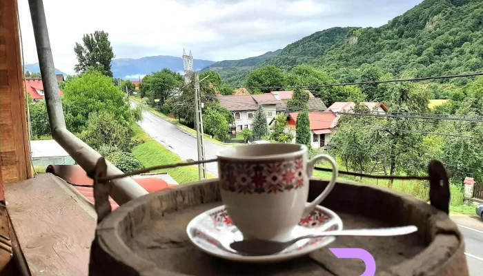 Pensiunea Nicky -  De La Vizitatori - Oeștii Ungureni