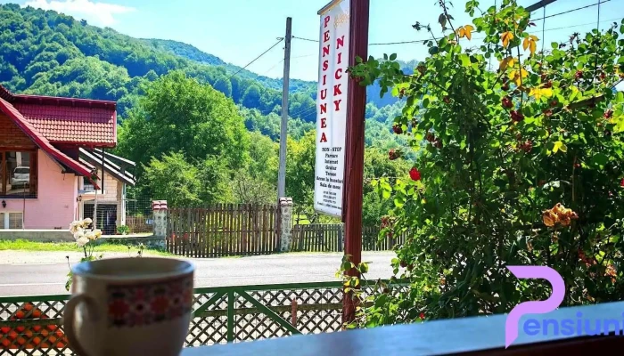 Pensiunea Nicky -  Exterior - Oeștii Ungureni