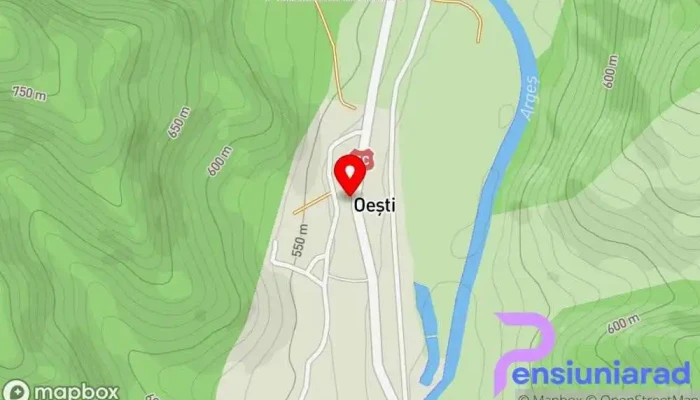 hartă a Pensiunea Nicky Hotel în Oeștii Ungureni