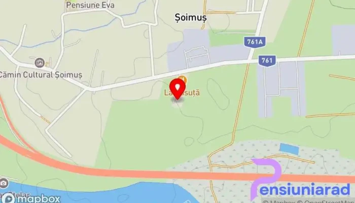hartă a Pensiunea Oana Bed & Breakfast în Șoimuș