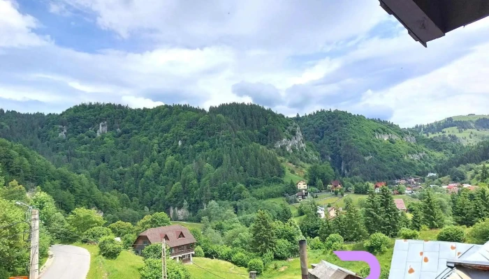 Pensiunea Oltenasul Exterior - Podu Dâmboviței
