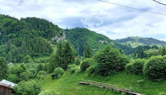 Pensiunea Oltenasul Podu Damboviței - Podu Dâmboviței