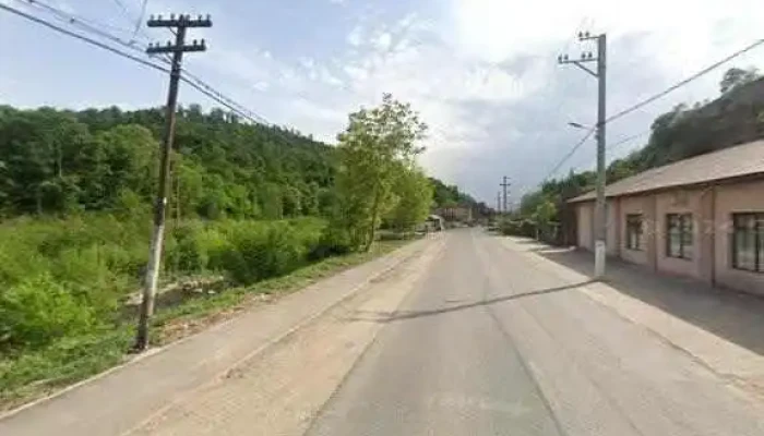 Pensiunea Onyx -  Street View Si 360deg - Sebiș