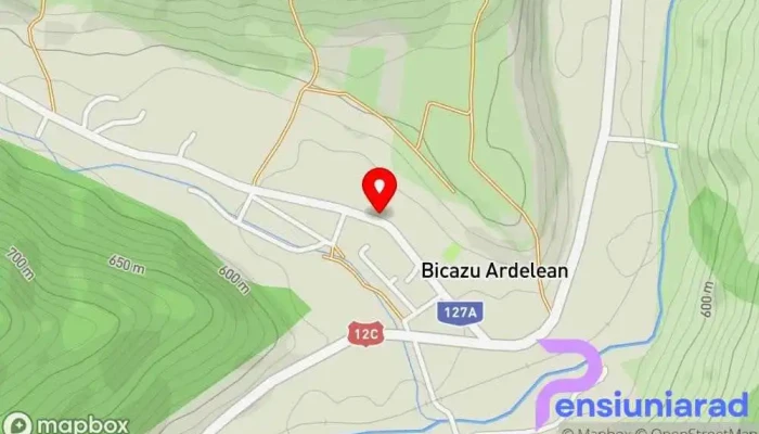 hartă a Pensiunea Paleu Bicazu Ardelean Hotel în Bicazu Ardelean