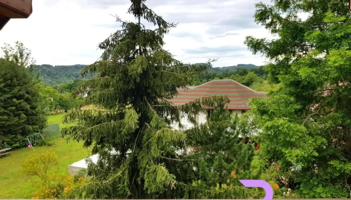 Pensiunea Paradis Valea Danului -  De La Vizitatori - Valea Danului