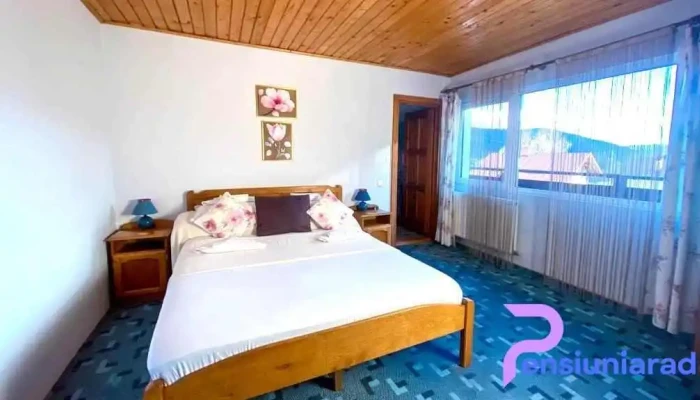 Pensiunea Paunasul Camere - Bușteni