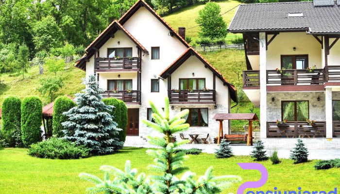Pensiunea Poienita Apusenilor Albac -  Comentarii - Albac