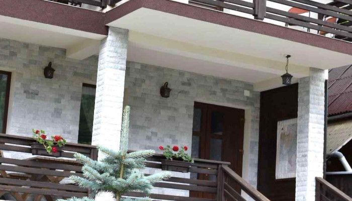 Pensiunea Poienita Apusenilor Albac -  Exterior - Albac