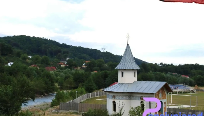 Pensiunea Pomi -  Exterior - Oeşti-ungureni