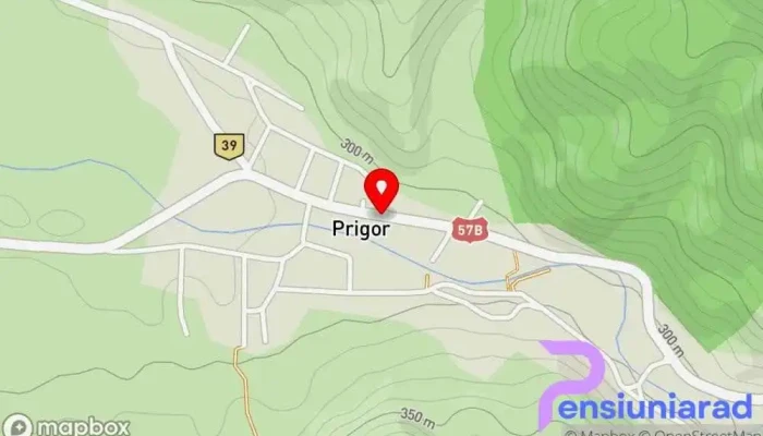 Pensiunea Prigorel -  Hartă - Prigor