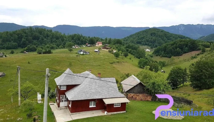 Pensiunea Pui De Urs -  Cabana - Ciocanu