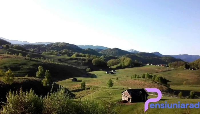 Pensiunea Pui De Urs -  De La Vizitatori - Ciocanu