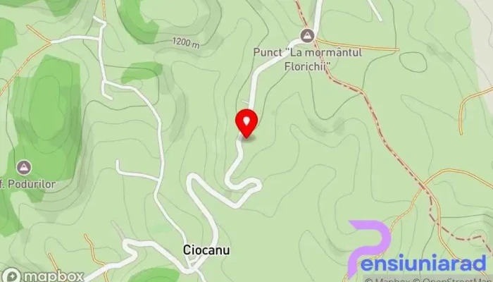 hartă a Pensiunea Pui de Urs Cabană în Ciocanu