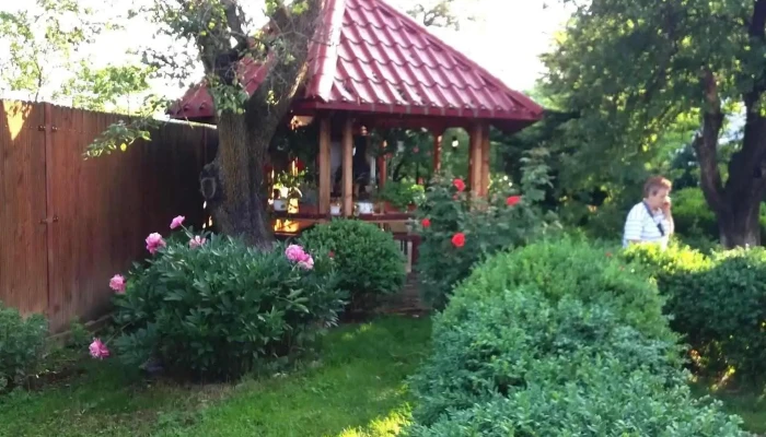 Pensiunea Randunica Exterior - Brebu Megieșesc