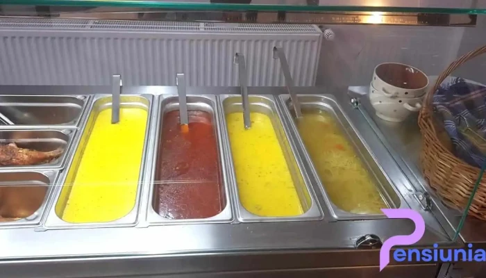 Pensiunea Restaurant Gradia -  Mancaruribauturi - Șuncuiuș