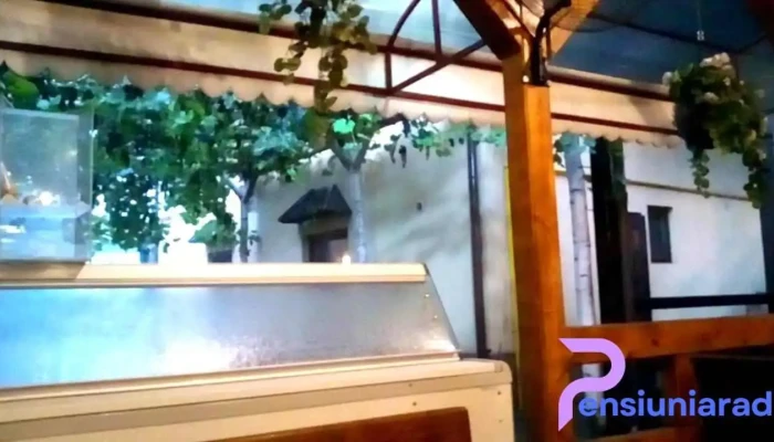 Pensiunea Restaurant La Han Nasaud De La Vizitatori - Năsăud