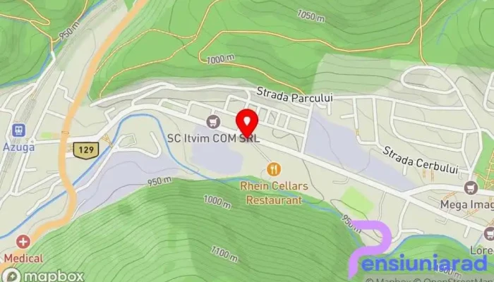 hartă a Pensiunea Rhein  în Azuga