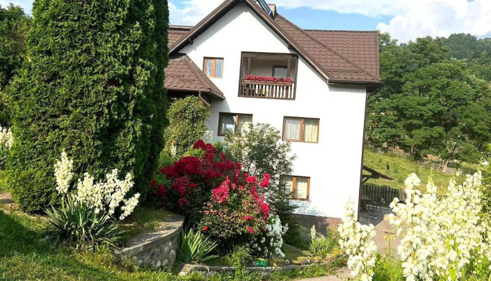 Pensiunea Roata Norocului - Rucăr 117630