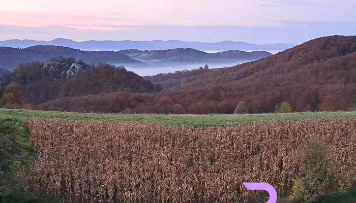 Pensiunea Rosia De La Vizitatori - Bihor