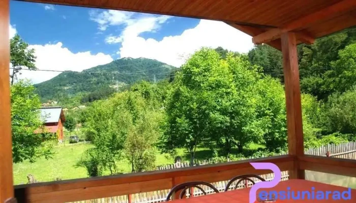 Pensiunea Serbanoiu De La Proprietar - Curtea De Arges