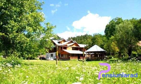 Pensiunea Serbanoiu Exterior - Curtea De Arges