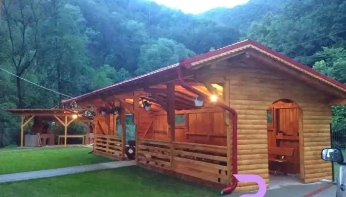 Pensiunea Silva Dobra -  Cabana - Dobra