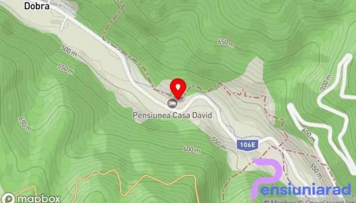 hartă a Pensiunea Silva Dobra Bed & Breakfast în Dobra