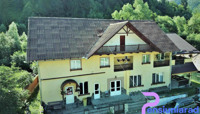 Pensiunea Sorina Deea -  De La Proprietar - Telec