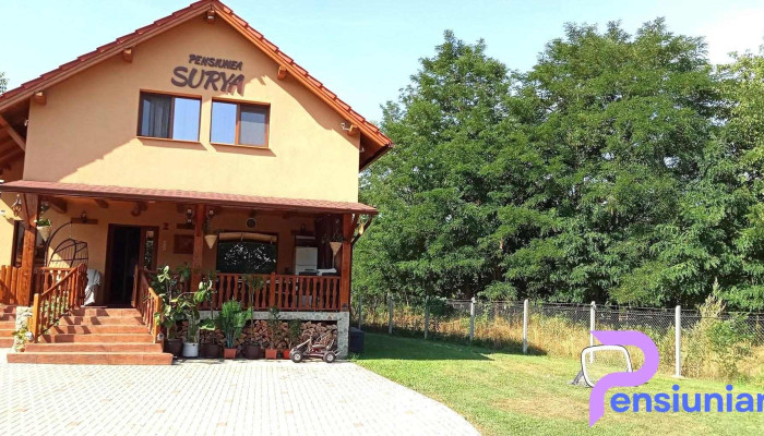 Pensiunea Surya -  Cabana - Orăștioara De Sus