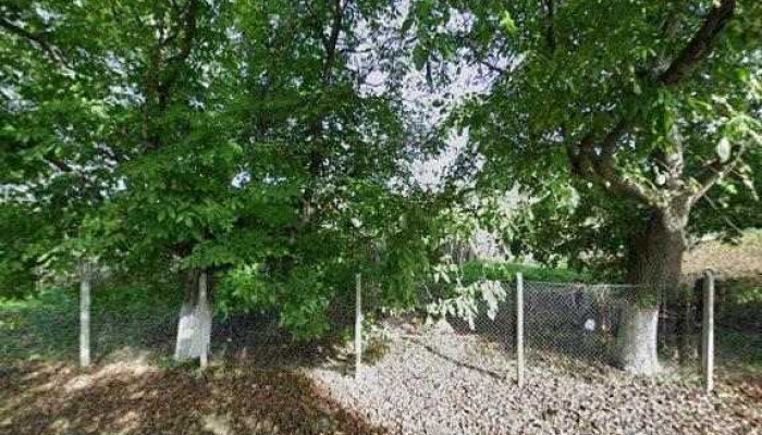 Pensiunea Surya -  Street View Si 360deg - Orăștioara De Sus