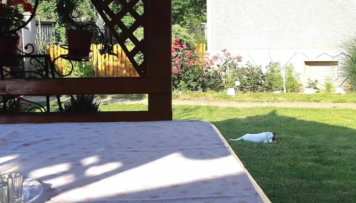 Pensiunea Tarina -  Număr - Șuncuiuș