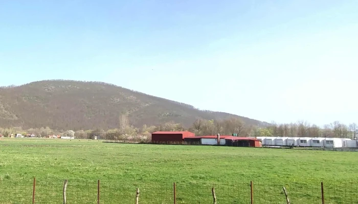 Pensiunea Tarina -  Reduceri - Șuncuiuș