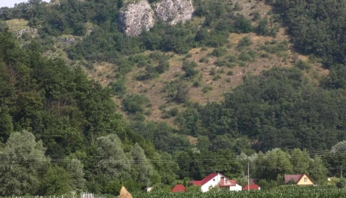 Pensiunea Tarina -  Telefon - Șuncuiuș