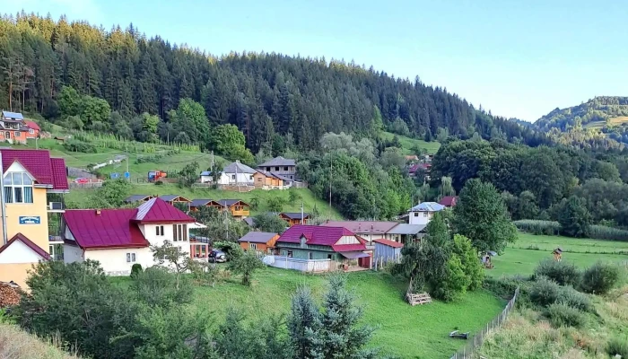 Pensiunea Teiul -  Catalog - Poiana Largului